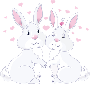 兔子情人节爱情