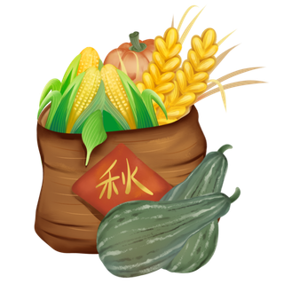 谷物粮食组合玉米南瓜