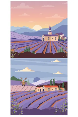 矢量薰衣草插画