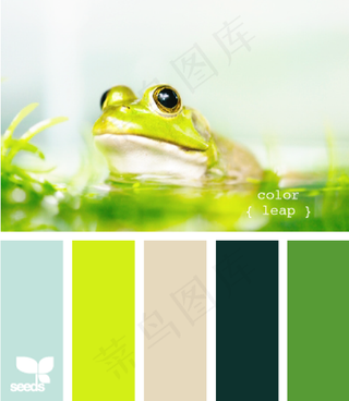 动物配色色卡色彩搭配