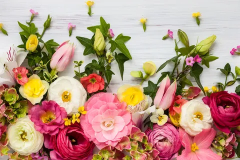 鲜花边框图片素材 鲜花边框图片素材