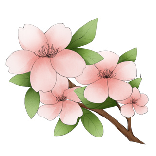 春天浪漫粉红色樱花手绘樱花梅花桃花花朵图片PNG免扣素材