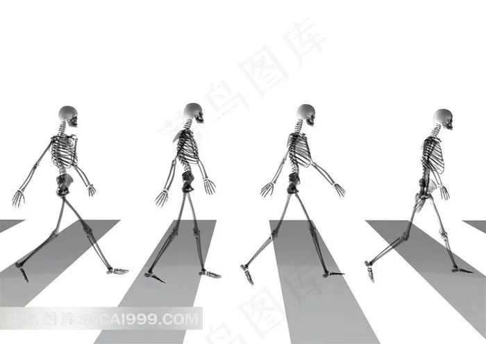 走斑马线人体骨架高清素材