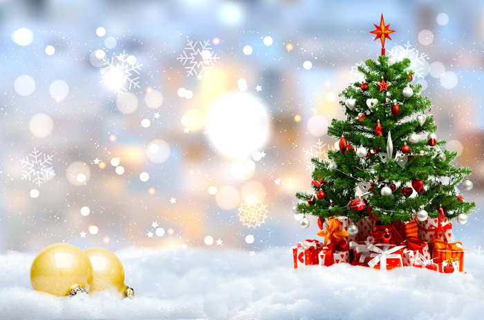 圣诞节圣诞装饰元素静物特写场景(145)