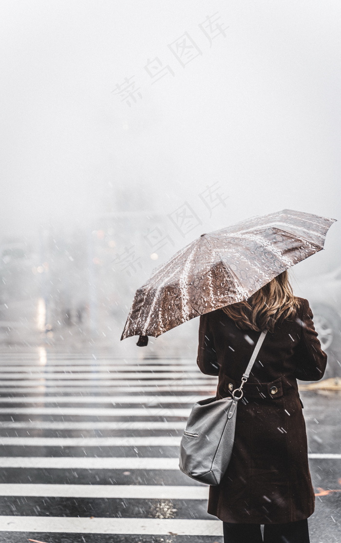 雨中撑伞美女背影图片