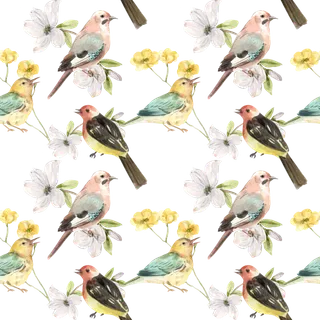 春鸟水彩剪贴画免抠素材