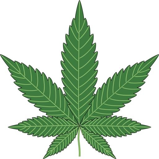 大麻PNG免抠(1280x1277)