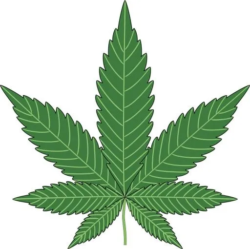 大麻PNG免抠(1280x1277)