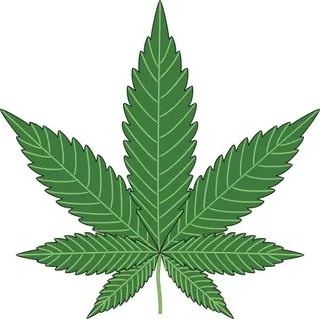 大麻PNG免抠
