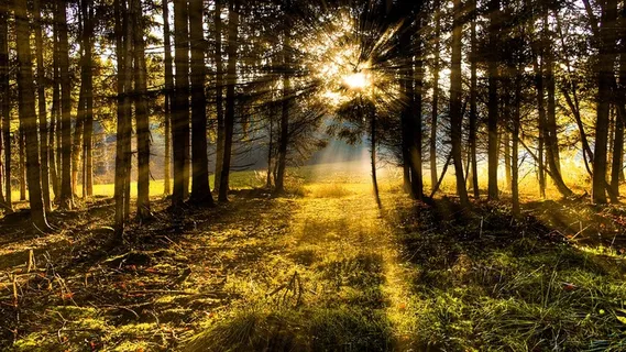 冬天自然背景风景 冬天自然背景风景