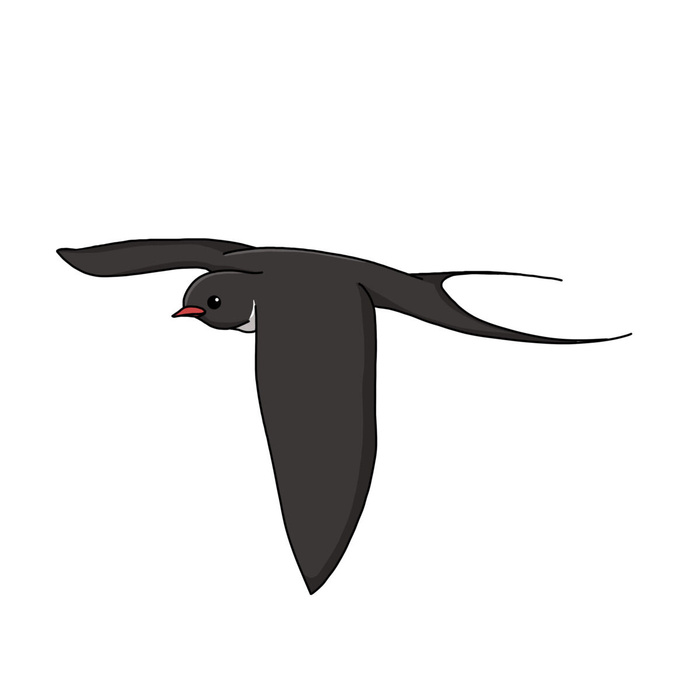 水彩手绘春季春天柳树柳条枝条小鸟小燕子元素PSD设计素材PNG图片