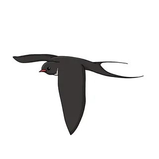 水彩手绘春季春天柳树柳条枝条小鸟小燕子元素PSD设计素材PNG图片