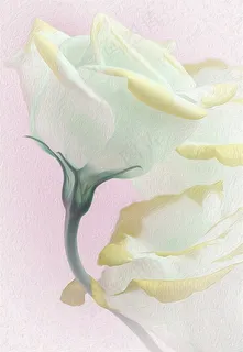 黄玫瑰油画挂画 黄玫瑰油画挂画