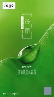 谷雨节气海报