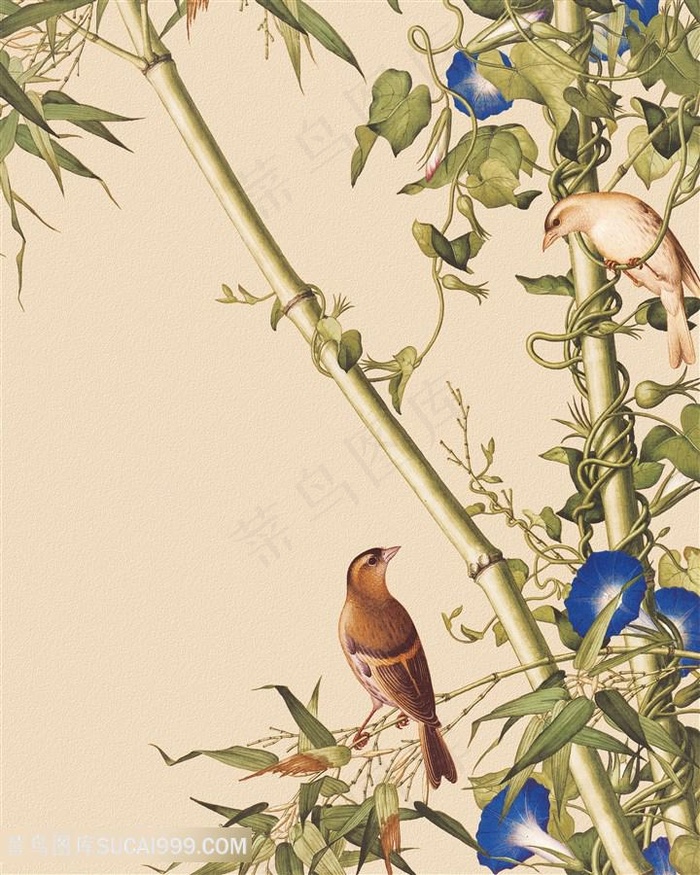 郎世宁 花鸟竹子高清装饰画