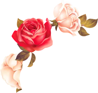 鲜花玫瑰免扣素材