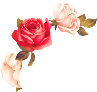 鲜花玫瑰免扣素材