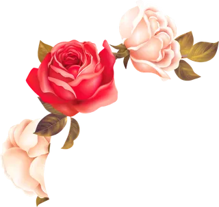 鲜花玫瑰免扣素材