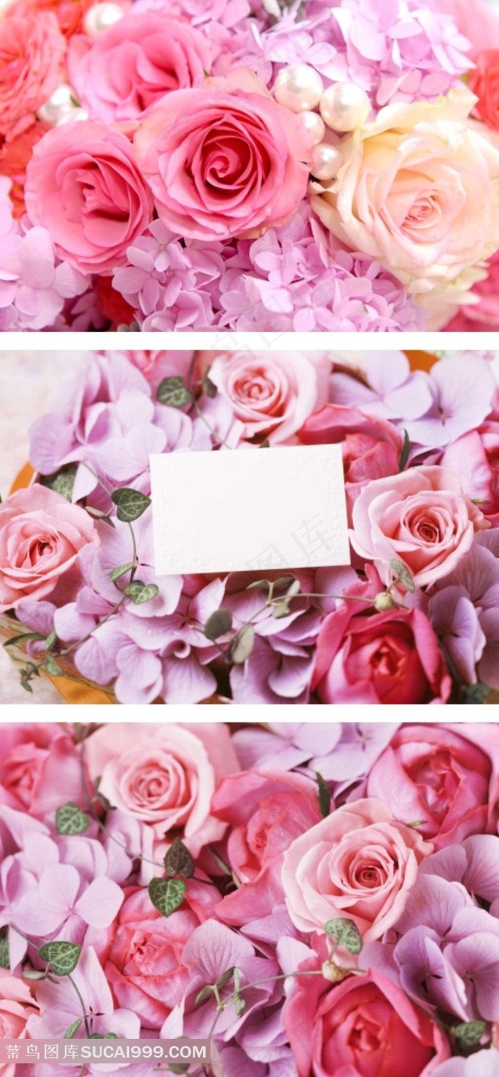 漂亮的粉玫瑰鲜花背景素材