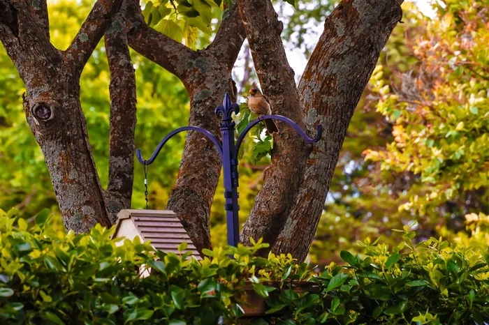 公园一角风景图片