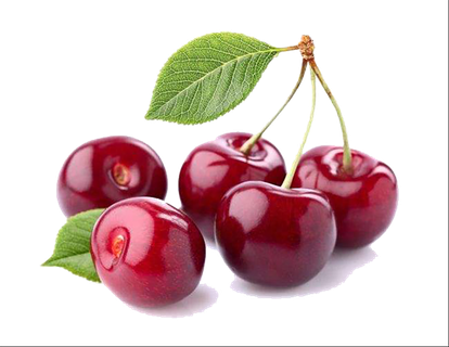 樱桃  素材 红色 水果