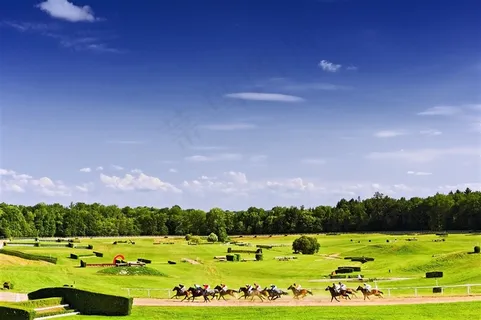 草地上策马奔腾的骏马图片