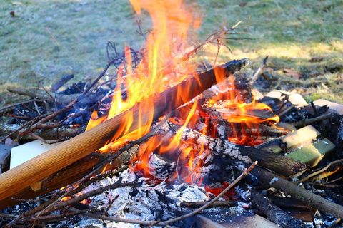 燃烧木头火堆图片