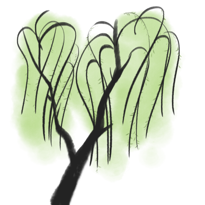 春天绿色春季水墨柳树柳条柳叶春季海报设计PNG免扣素材