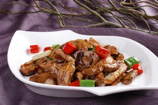 CXC03011美味牛肝菌98例