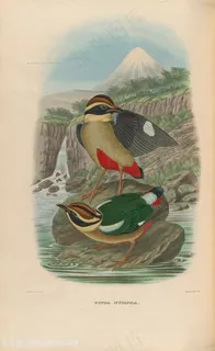 高清河流山脉风景与小鸟油画图片 高清河流山脉风景与小鸟油画图片