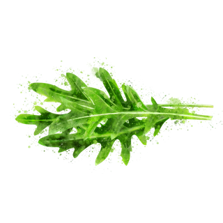 蔬菜水果水彩画水果免扣素材