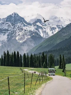 雪山森林下行驶的汽车