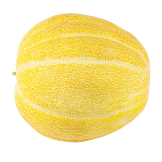 哈密瓜免抠素材 (7)