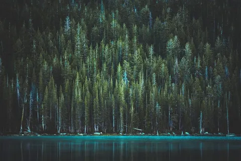 湖水像一面镜子