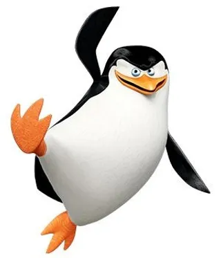 马达加斯加企鹅 PNG免抠