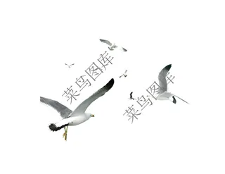 飞鸟高清图2