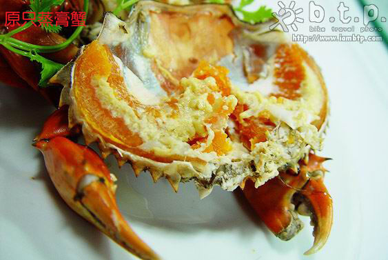 原只蒸蟹糕美食元素菜品psd模版下载