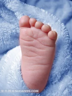 婴儿的小脚高清图片 婴儿的小脚高清图片