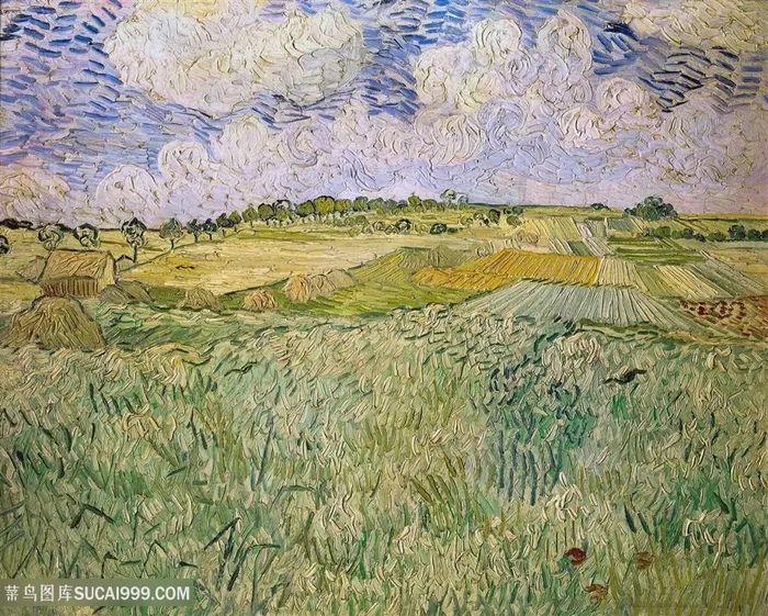 梵高田野风景油画图片