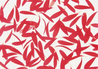 花团锦簇碎花瓣