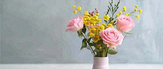 简约的墙面前有一瓶鲜花花束绿植，鲜艳清新新鲜室内装饰摄影图