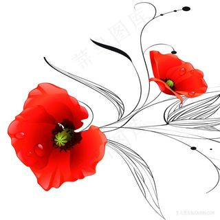 唯美小红花花藤插画