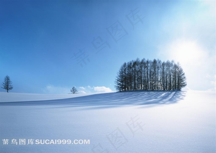 北海道雪地风光风景图片