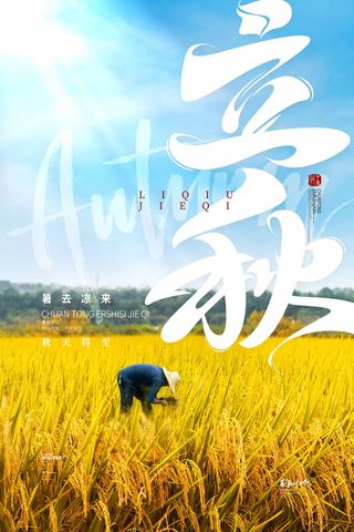 简约立秋节气活动海报