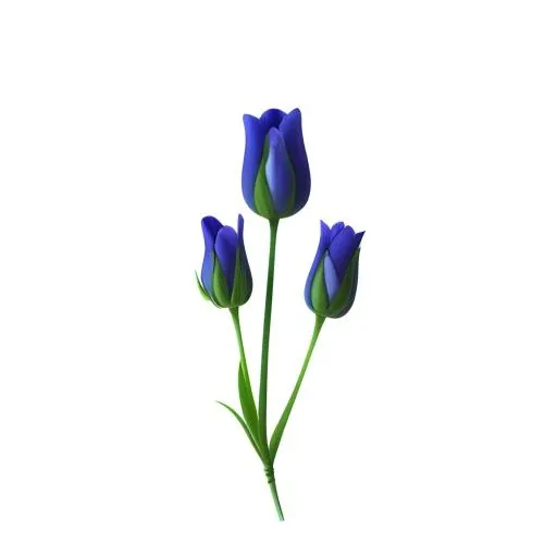 花免抠(2048x2048)