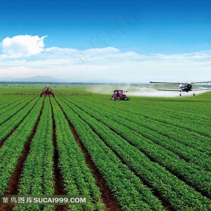 黑龙江大农田播种
