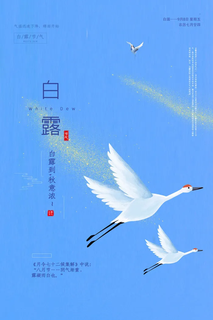 白露24节气psd模版下载