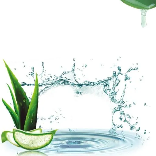 芦荟 PNG免抠(800x800)