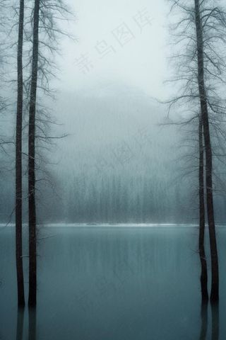 雪山树林河面背景