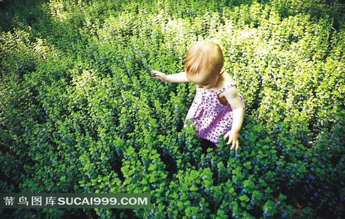 在草地上学走路的儿童